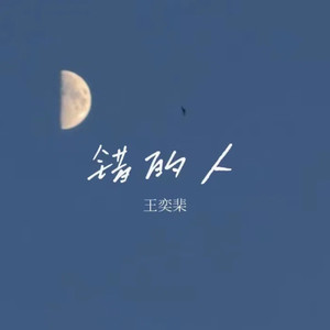 错的人 (爱得太真)