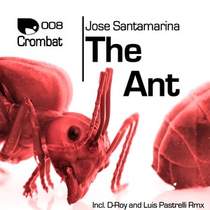 The Ant (D-Roy Remix)