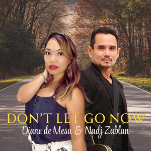 Don't Let Go Now (feat. Nadj Zablan)