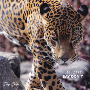 Say Don't (Original Mix)