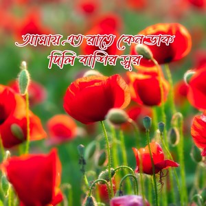 আমায় এত রাতে কেন ডাক দিলি বাশির সুর