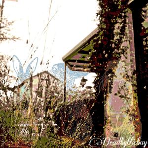 i wasn't the problem, was i? (Explicit)