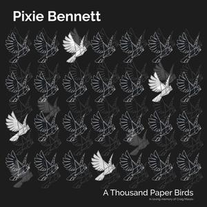 A Thousand Paper Birds