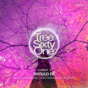 Should (Stereo Wave Remix)