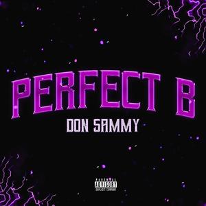 Perfect B (Explicit)