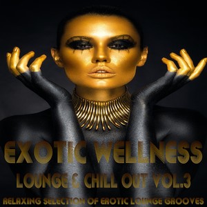 Exotic Wellness Lounge and Chill Out, Vol. 3 (Relaxing Selection of Erotic Lounge Grooves)