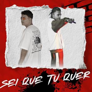 SEI QUE TU QUER (feat. Mc J9 & Mc Jhey)