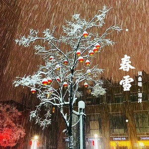 春雪