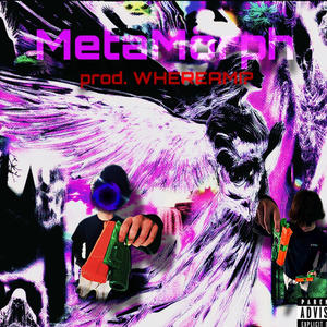 MetaMorph (Explicit)