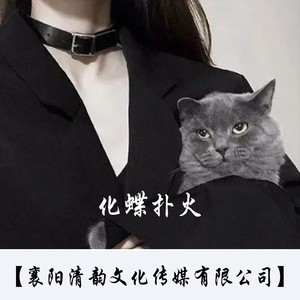 化蝶扑火封面