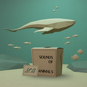 Sounds of Sea Animals - Unique Collection of Dolphin and Whale Sounds Perfect for Sleeping, Resting and Meditating