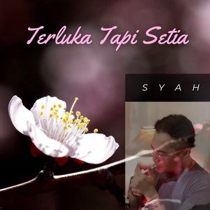 TERLUKA TAPI SETIA
