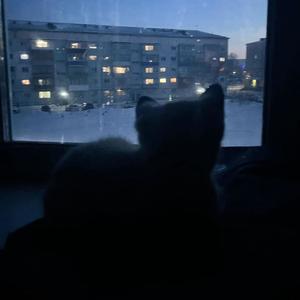 how often do you feel lonely?