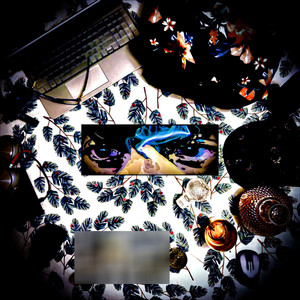 Westcoastcruise (Explicit)