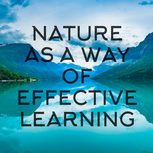 Nature as a Way of Effective Learning