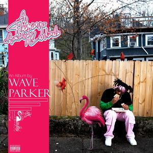 A Flamingo Amongst Cardinals (Explicit)