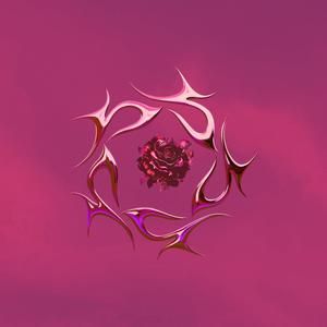 Rose of Jericho (Explicit)