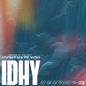 I Don’t Hate You (Explicit)