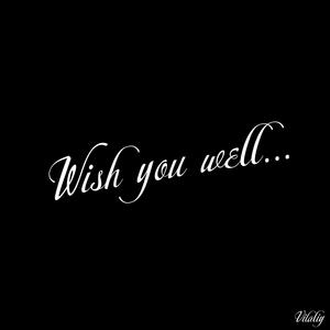 wish you well (Explicit)