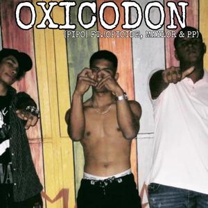 OXICODON (feat. OPIOIDE, Maylor & PP) (Explicit)
