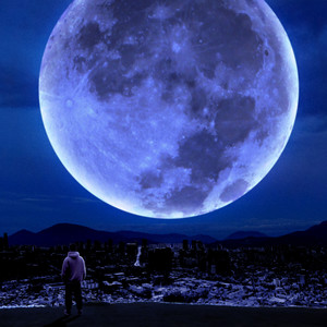 여전히 (Still) (Feat. 사나이오세창 (Sana2Ohsechang), Kite, Vanillobey, Lure Blue)