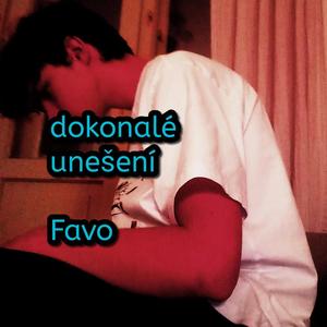 Dokonalé unešení