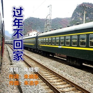 朱晓东 - 过年不回家