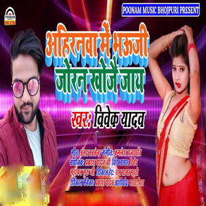 Ahiranava Me Bhauji Joran Khoje Jay - Single