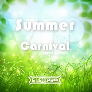 Summer Carnival(VIP)