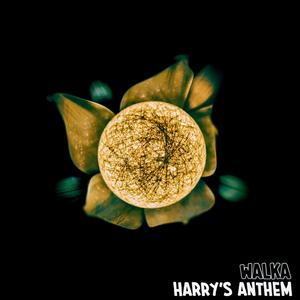 Harry's Anthem (Radio Edit)