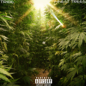 Finest Trees (Explicit)