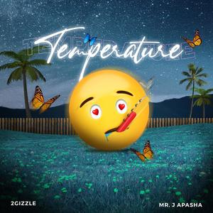 Temperature (feat. Mr J Apasha)