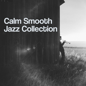 Calm Smooth Jazz Collection – Relaxing Background Jazz Hits, Piano Instrumental Sounds, Smooth Jazz