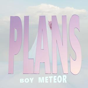 Plans (Demo Version)