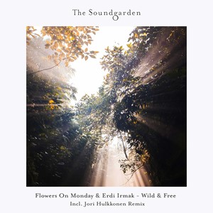 Wild & Free (Jori Hulkkonen Remix)