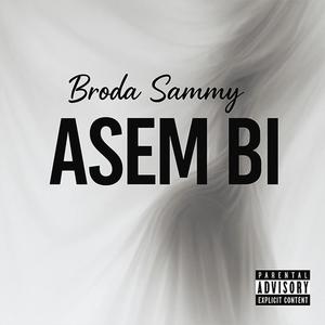 ASEM BI