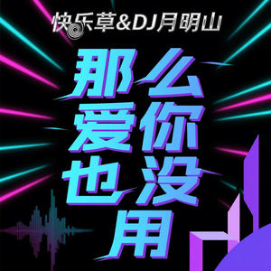 那么爱你也没用