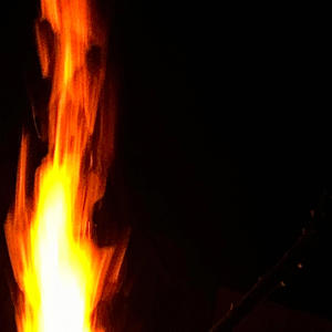 roadkill: the oracle