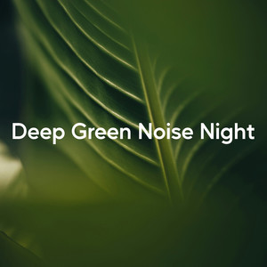 Deep Night Noise