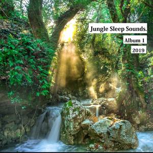 Jungle Sounds for Sleep