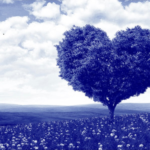 The Morning After (Explicit)