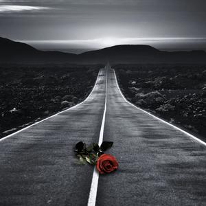 Lonely Road (feat. STAG) (Explicit)