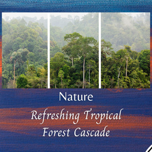Nature: Refreshing Tropical Forest Cascade - 3 Hours