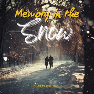 Memory in the Snow