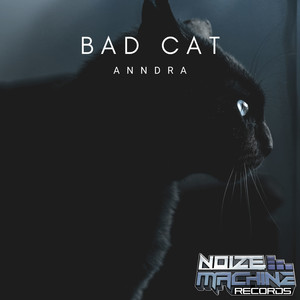 Bad Cat (Original Mix)
