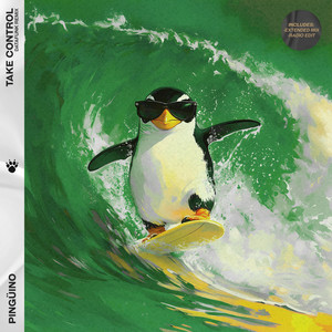 Take Control (DataFunk Extended Remix)