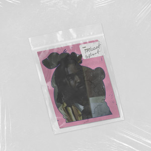 Irrelevant Elephant (Explicit)