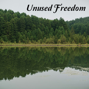 Unused Freedom