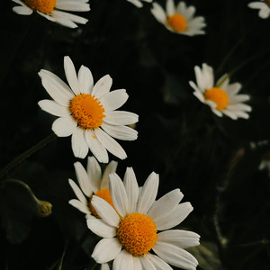 Yeu Em La Dieu Anh Chon - Beat