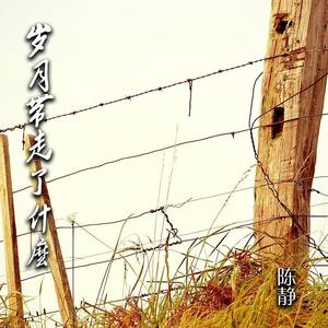 岁月带走了什么